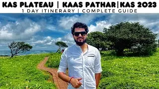 Kaas Plateau | Kaas Pathar | 1 Day Itinerary | Budget HomeStay | Complete Guide | Flower Valley