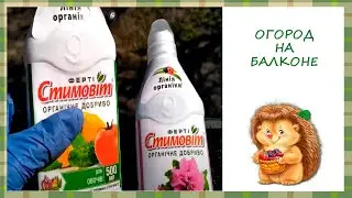 Грядка на балконе 🍅 | Подготовила ящики к высаживанию растений