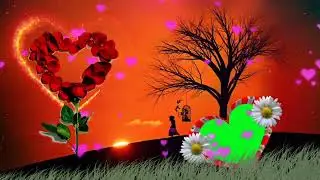 Wedding green screen effect background effect   Heart background effect