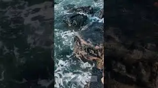 Öz işığınıza güvənin !
