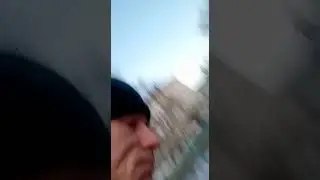 Наши друзья меньшие