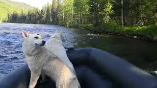 кукшинские пороги