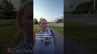 🇨🇦 Сколько стоит проезд в Канаде? Оттава, Онтарио🚎 