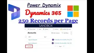 250 Records per page in Dynamics 365