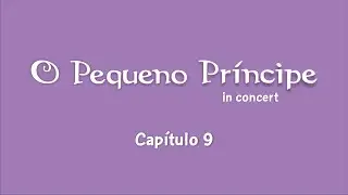 O Pequeno Príncipe - Capítulo 9