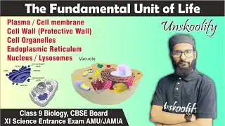 Cell Membrane | Endoplasmic Reticulum | Nucleus | Part 3 | The fundamental unit of life in Hindi