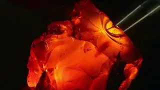 Amber Gemstone | Origin | History | Formation | Inclusions | Appearance