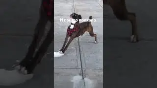 ахахахха