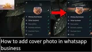 WhatsApp New Update | WhatsApp Cover Photo Update | How to set Cover photo on WhatsApp