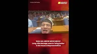 'BAKA MA-MEOW MEOW MEOW': Cong. Kiko Barzaga vows to 'bring justice' in the House of Representatives