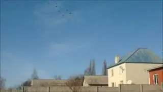 Голуби николаевские!   Питомник.  Яковлев И.Н.