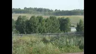 Моя деревня,  лес и цветы