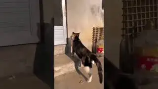 сбой системы