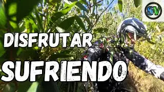 Masochism in Portugal