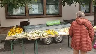 Small Pumpkin Festival in France plus parts of our town