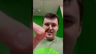 I ate an actual insect