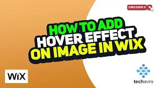 How to Add Hover Effect on Image in Wix 2024