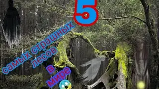 5 Самых Страшных Лесов В мире😱😱😱 Часть 1️⃣