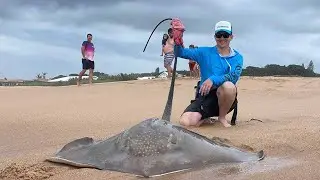 Took me 3 Hours and 45 minutes to land this Thorntail !!