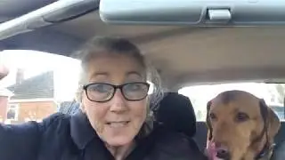 Community Care Worker so don't touch my dog!