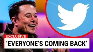 Elon Musk Says He Will Grant Amnesty To Banned Twitter Accounts..