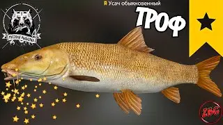 УСАЧ ОБЫКНОВЕННЫЙ  ТРОФ о. МЕДВЕЖЬЕ ⭐ РУССКАЯ РЫБАЛКА 4 | RUSSIAN FISHING 4🐟