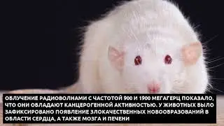 Ученые рассказали о влиянии мобильных телефонов на появление рака