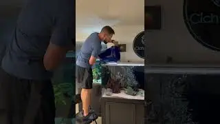 Adding Cichlids to the 180 Gallon Aquarium!
