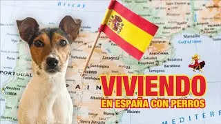 Viviendo en 🇪🇸 España con perro 🐕