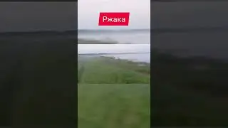 Пересмотрел 100 раз #рыбалка #ржачьдослёз