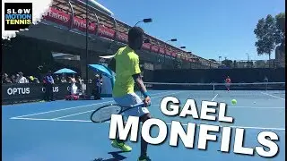 Gael Monfils - 2017 Australian Open (practice) back perspective in 4K