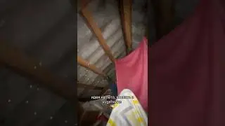 Те самые идеи летом... Автор: barashik_lapik