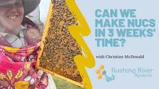 Calculating Hive Growth: Will Our Hives Be Ready To Make Nucs In 3 Weeks?