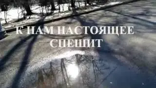 К нам настоящее спешит