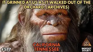 Mr. Black and the Sasquatch (Archive) | Bigfoot Society 577