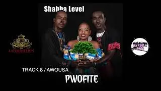 Shabba level  album pwofite 2024