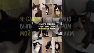 Утро и дети