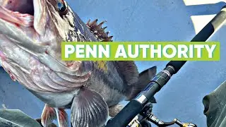 ΣΤΗΡΑ 4ΚG με PENN AUTHORITY 4500  #zenaq #penn #ψάρεμα #offshore #japanfishing #jigging