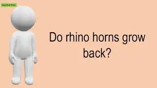 Do Rhino Horns Grow Back?