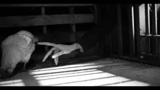 The Dead Weather - Dean (Impossible Winner Trailer)