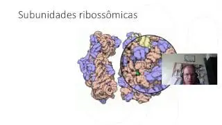 organelas_1_enem