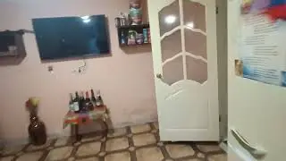 цена 20 мр. Рядом дельфинарий.