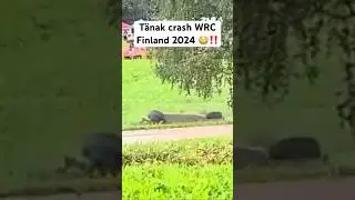 CRASH Ott Tänak WRC Finland 2024 crew OK (video: Jari Jarvinen) #rally #rallye