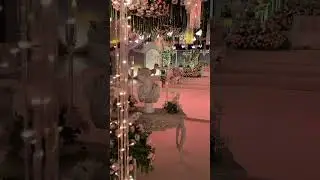 Walima beauty 