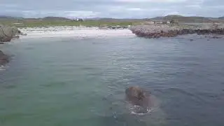 Mull & Ardnamurchan - May 2022