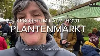 ZET DE BLOEMETJES BUITEN OP DE PLANTENMARKT