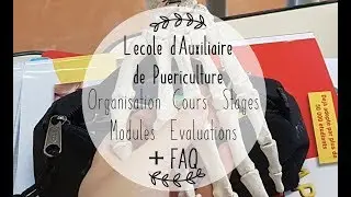 ➤ Une année en école d'Auxiliaire de Puériculture: modules, évaluations, stages... | Little Miss Ap
