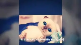 Новости)))) канала ))  срочно!!