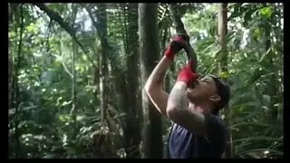 Last moments of AVICII - RIP brother 😭