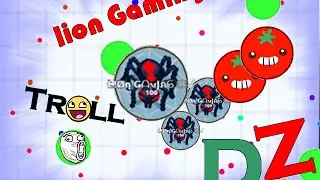 Lion Gaming // Agar.io DZ Trolling // SOLO #1
